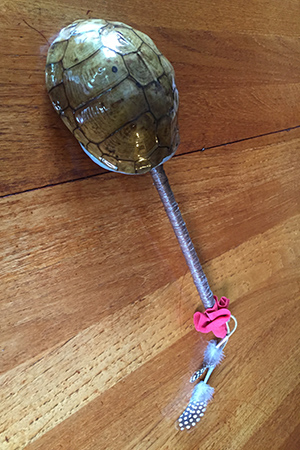 turtle shell rattle
